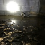 Crawlspace Waterproofing Gallery